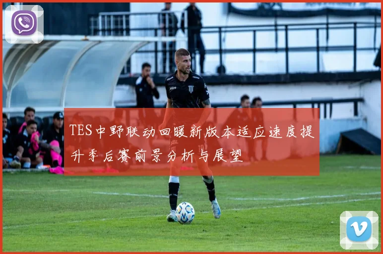 TES中野联动回暖新版本适应速度提升季后赛前景分析与展望